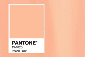 Leia mais sobre o artigo A cor do ano Pantone 2024 e sua influência