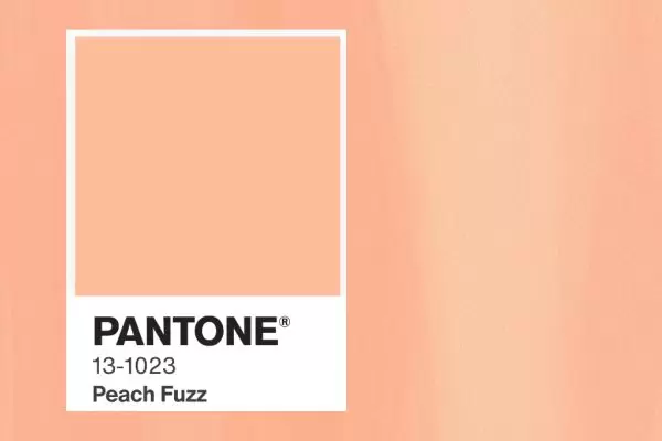 gw-flexo-cor-pantone-2024-peach-fuzz